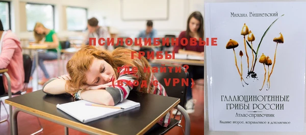 мет Балахна