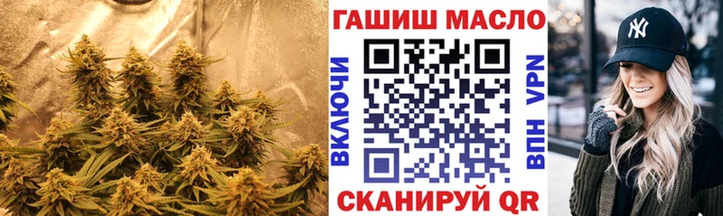 Дистиллят ТГК концентрат  купить наркотики цена  нарко площадка как зайти  Светлогорск  МЕГА ТОР 
